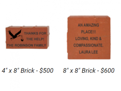 Donor Brick Options Donor Brick Options